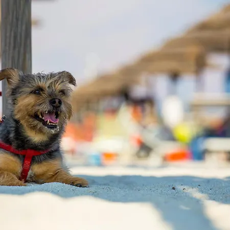 Gitavillage Talamone