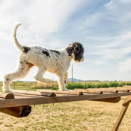 Gitavillage Talamone